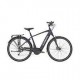 Trek Verve+ 4