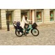 Benno Boost 10D CX 500 Evo5 Easy On