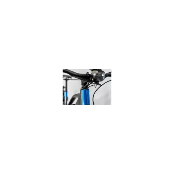 Trek Allant+ 6, Stagger, 545Wh